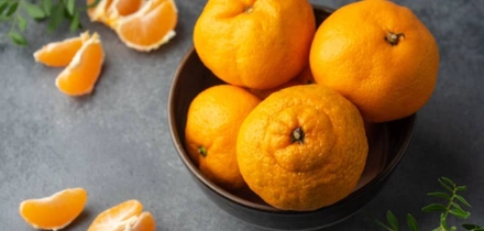 Как выбрать и&nbsp;хранить овощи и&nbsp;фрукты