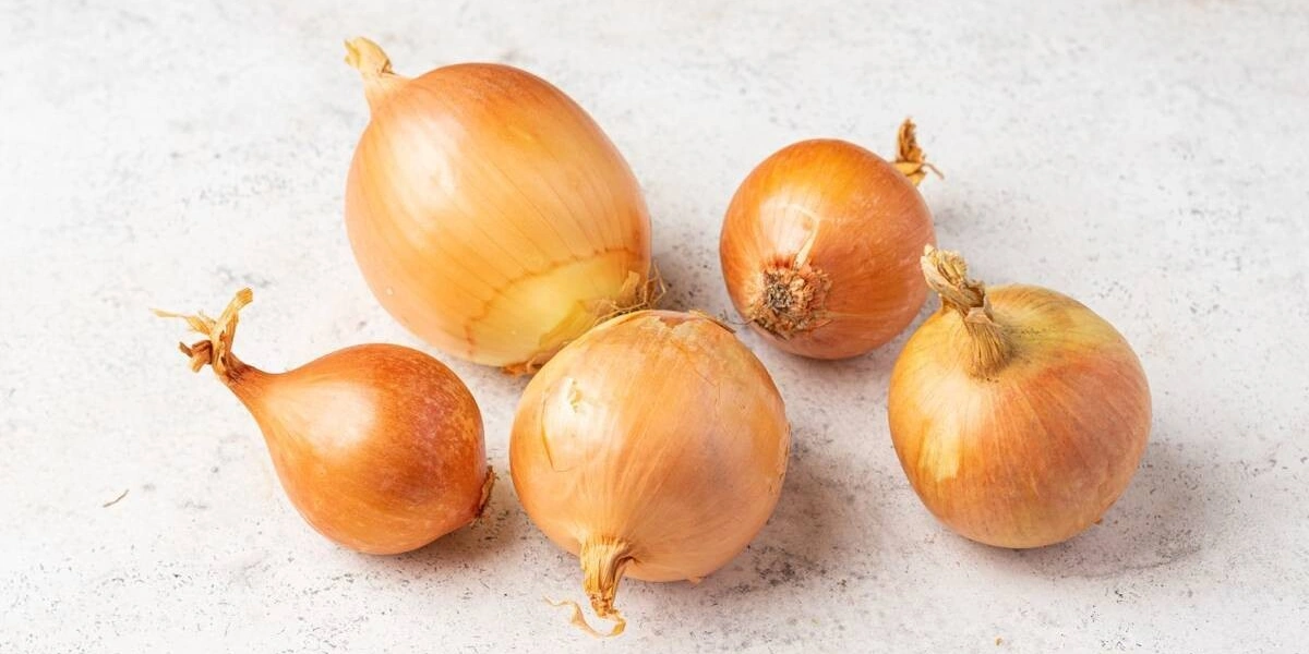 Как выбрать и&nbsp;хранить овощи и&nbsp;фрукты