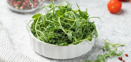 Рождение, зрелость и&nbsp;старение овощей и&nbsp;зелени: как меняется содержание нутриентов со временем