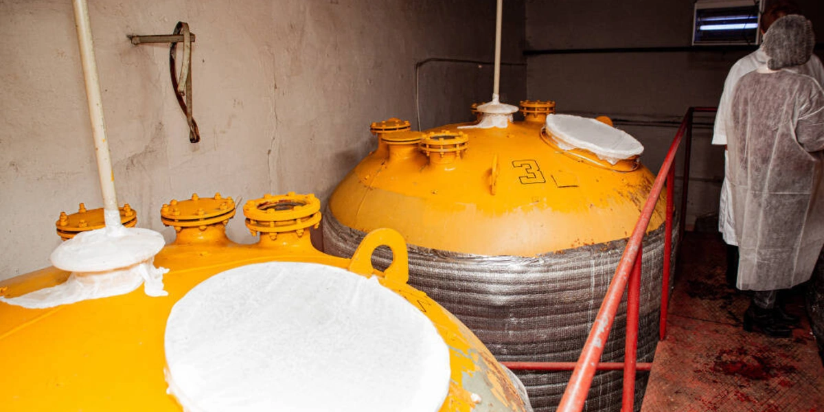 НеобыЧайный гриб