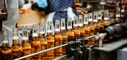 НеобыЧайный гриб