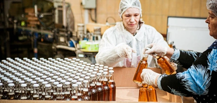 НеобыЧайный гриб