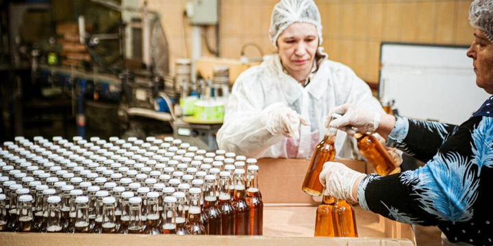 НеобыЧайный гриб