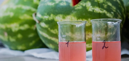 Есть или не есть: что на&nbsp;самом деле показывают нитрат-тестеры