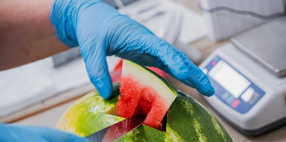 Есть или не есть: что на&nbsp;самом деле показывают нитрат-тестеры