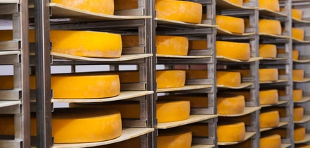 Как рождаются сыры: производство, составы и&nbsp;уникальные сорта