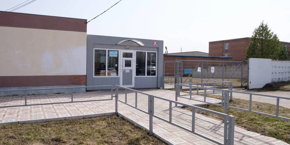 От мицелия до&nbsp;гриба: как выращивают шампиньоны