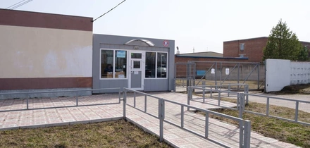 От мицелия до&nbsp;гриба: как выращивают шампиньоны