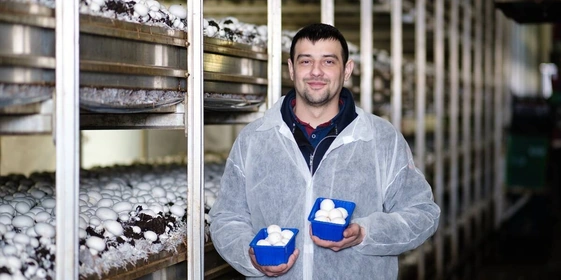 Проводник экскурсионной группы «ВкусВилл» в&nbsp;мир шампиньонов — Андрей Трищенков, технолог «Национальной грибной компании Кашира»