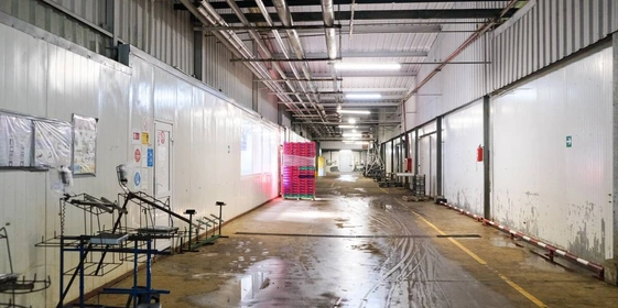 Проводник экскурсионной группы «ВкусВилл» в&nbsp;мир шампиньонов — Андрей Трищенков, технолог «Национальной грибной компании Кашира»