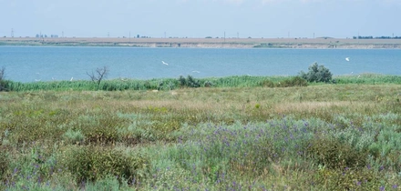 Как выращивают оранжевые, жёлтые, красные арбузы