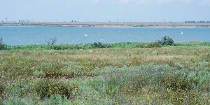 Как выращивают оранжевые, жёлтые, красные арбузы