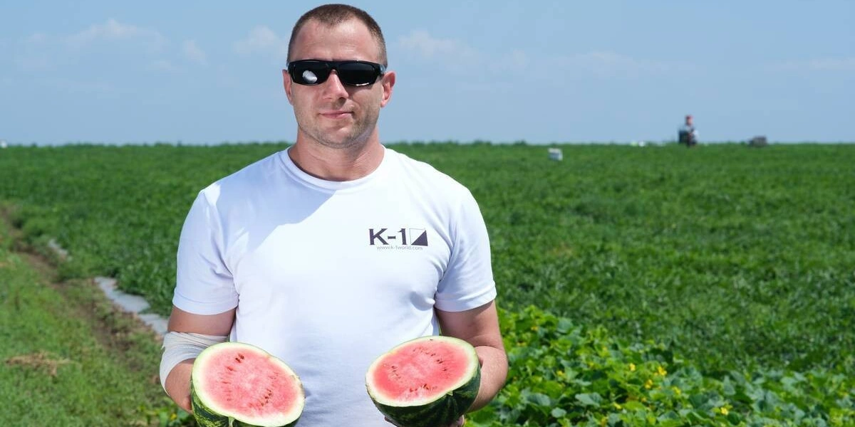 Как выращивают оранжевые, жёлтые, красные арбузы