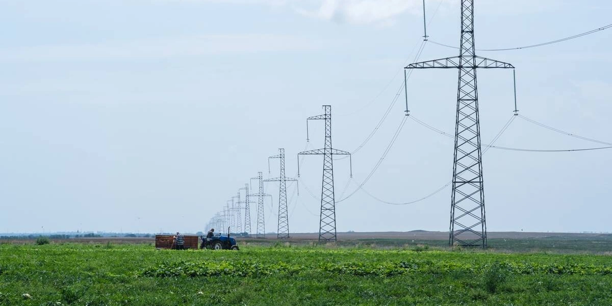 Как выращивают оранжевые, жёлтые, красные арбузы