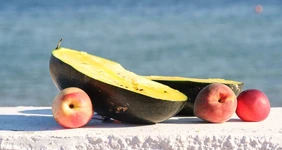 Как выращивают оранжевые, жёлтые, красные арбузы