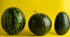 Ищем пару для&nbsp;арбуза: необычные сочетания в&nbsp;блюдах и&nbsp;напитках