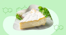 Биология продуктов: польза или вред комбучи, сыра с&nbsp;плесенью, хлеба и&nbsp;молочки