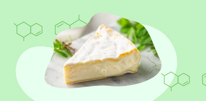 Биология продуктов: польза или вред комбучи, сыра с&nbsp;плесенью, хлеба и&nbsp;молочки