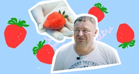 Как выращивают краснодарскую клубнику