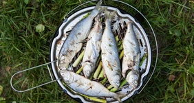 Рыба на&nbsp;мангале: какую выбрать, как замариновать и&nbsp;6 рецептов для&nbsp;гриля