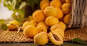 Абрикос: чем полезен, вреден и&nbsp;какой сорт выбрать