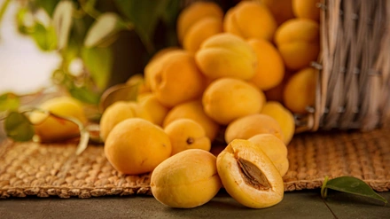 Абрикос: чем полезен, вреден и&nbsp;какой сорт выбрать
