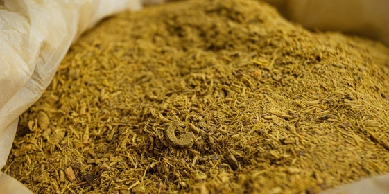 На фото — корень солодки в&nbsp;дроблёном виде. Из&nbsp;дроблёного сырья на&nbsp;последующих этапах получается лучше извлечь полезные вещества