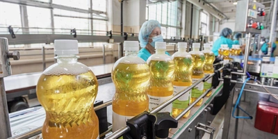 Основа «Тархуна» — настой эстрагона — в&nbsp;природе имеет жёлтый цвет