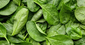 Чем полезен шпинат и&nbsp;что из&nbsp;него приготовить
