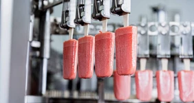 Как делают наш фруктовый лёд: про&nbsp;дикую клюкву и&nbsp;холод Арктики