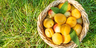 Идеальный пикник: советы по&nbsp;декору, меню и&nbsp;фотозоне от&nbsp;декоратора