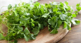 Как сохранить зелень свежей или правильно её заморозить