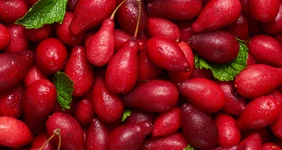 Что такое кизил, чем он полезен и&nbsp;как его есть