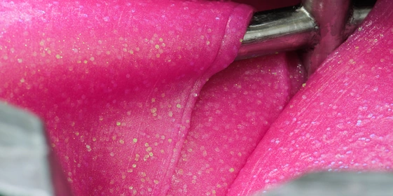 Варка слаймов происходит в&nbsp;специальных «котлах»: туда засыпают все необходимые ингредиенты