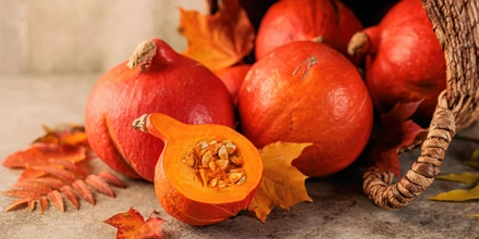 Что приготовить из&nbsp;тыквы, чем она полезна и&nbsp;при&nbsp;чём тут Лев Толстой