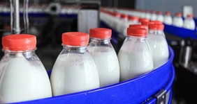 Молочные реки и&nbsp;творожные берега: экскурсия на&nbsp;Ядринмолоко