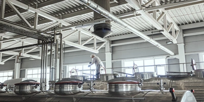 Водитель перемешивает молоко, а лаборант завода отбирает пробы и&nbsp;проводит анализ партии