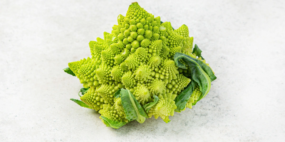 Брокколи, цветная, пекинская, белокочанная: 10 очень разных блюд из&nbsp;капусты