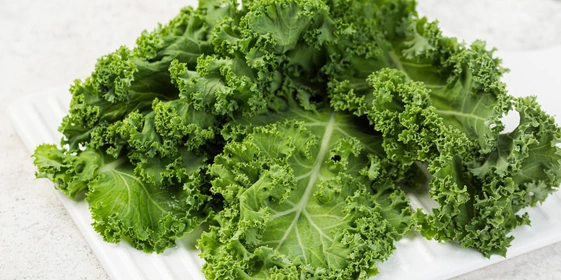 Брокколи, цветная, пекинская, белокочанная: 10 очень разных блюд из&nbsp;капусты