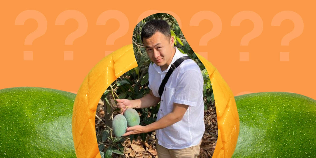 10 вопросов технологу: кто встречает корабли с&nbsp;манго и&nbsp;какие дегустации вкуснее