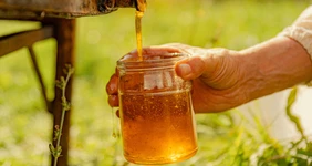 Липовый или настоящий: как делают мёд