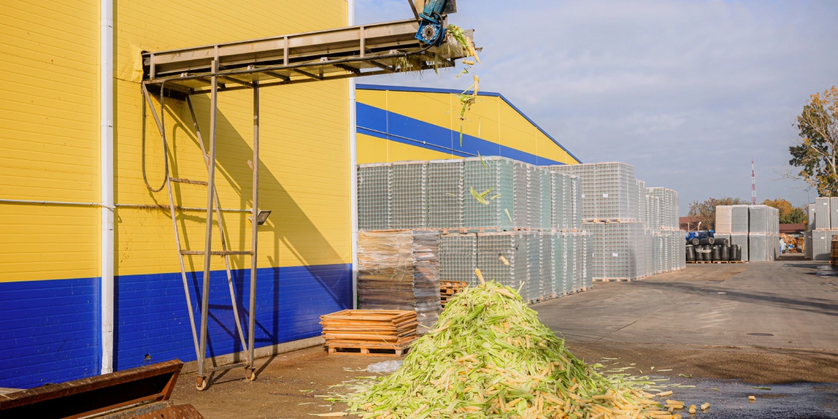 Все отходы производства бесплатно передают местным фермерам на&nbsp;комбикорм