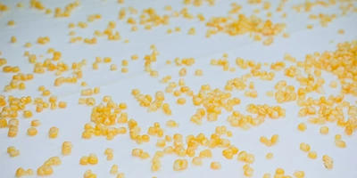 Ровным тонким слоем зёрнышки подают на&nbsp;инспекционный транспортёр, где вручную отбирают повреждённые зёрна и&nbsp;растительные примеси