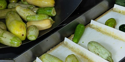 Очищенные от&nbsp;первичной грязи кабачки поступают в&nbsp;барабан, где с&nbsp;помощью щёток очищаются повторно