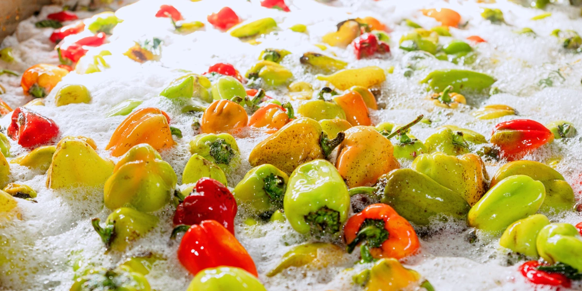 Перец моют, дробят на&nbsp;две половинки и&nbsp;в&nbsp;специальном барабане отделяют от&nbsp;плодоножки с&nbsp;семенами