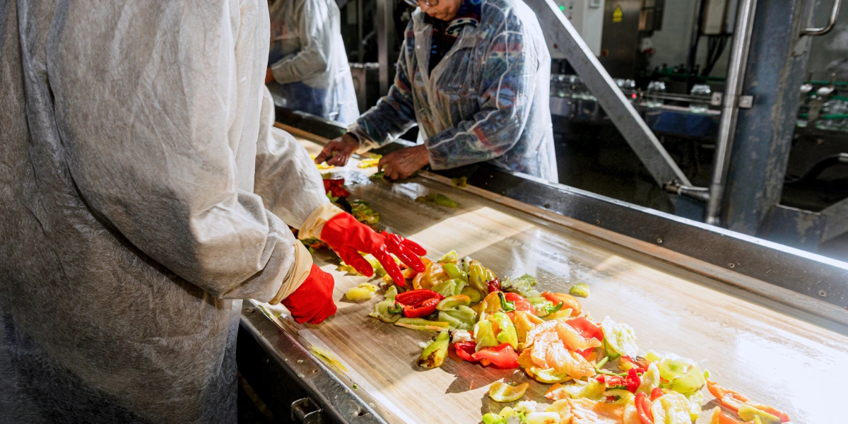 На инспекционной ленте убирается всё то, с&nbsp;чем не справился барабан