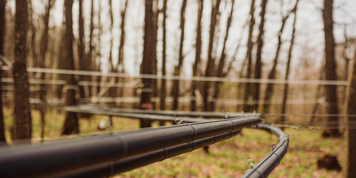 Сок собирается по&nbsp;системе трубопровода. Монтаж системы осуществляют осенью, когда лес из-за&nbsp;отсутствия листвы просматривается лучше всего