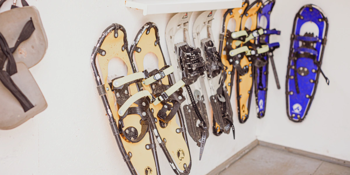 Каждый год первый раз к&nbsp;дереву сотрудник кленоварни подходит перед&nbsp;началом сезона, где-то в&nbsp;январе-феврале. Чтобы просверлить новое отверстие и&nbsp;не утонуть в&nbsp;глубоких сугробах, на&nbsp;помощь приходят снегоступы