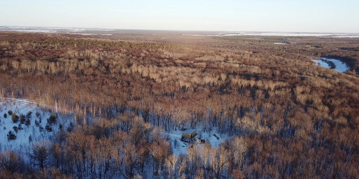 Под силой гравитации, а также благодаря&nbsp;вакууму сок устремляется к&nbsp;одной общей трубе, ведущей на&nbsp;базу. Кленоварня расположена посреди&nbsp;леса, на&nbsp;ближайшие километры от&nbsp;неё ничего нет