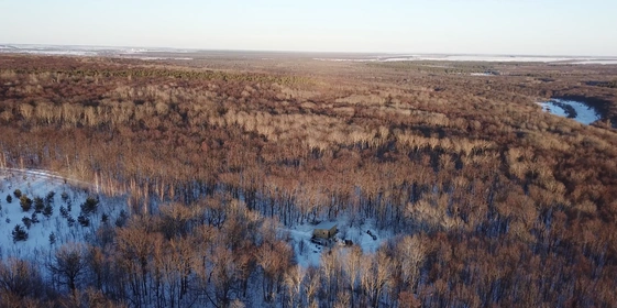Под силой гравитации, а также благодаря&nbsp;вакууму сок устремляется к&nbsp;одной общей трубе, ведущей на&nbsp;базу. Кленоварня расположена посреди&nbsp;леса, на&nbsp;ближайшие километры от&nbsp;неё ничего нет